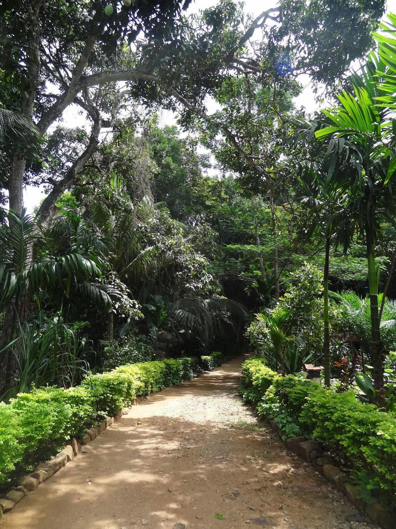 Strathisla Tea Estate Bungalow 마탈레 외부 사진